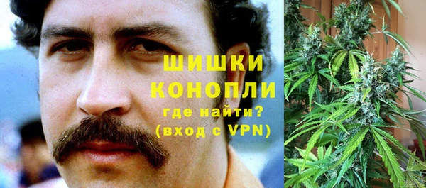 индика Новоуральск