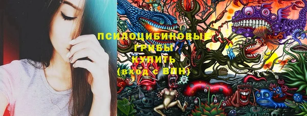мдпв Краснотурьинск