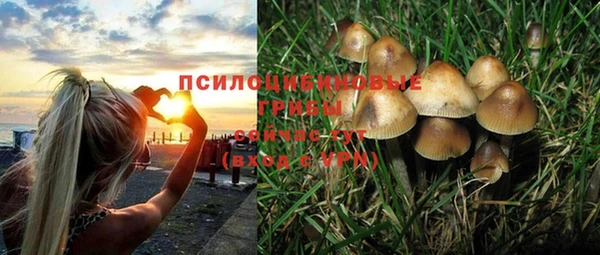 таблы Костерёво
