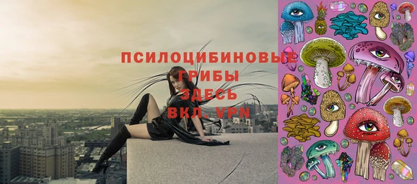 таблы Костерёво