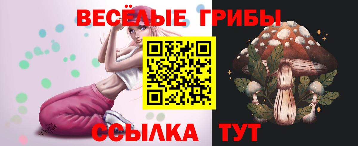 Новоуральск  Галлюциногенные грибы ЛСД  Вход с VPN 